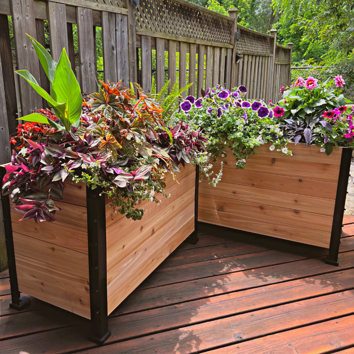 18" x 36" Planter Box - 24" TALL / Select Grade