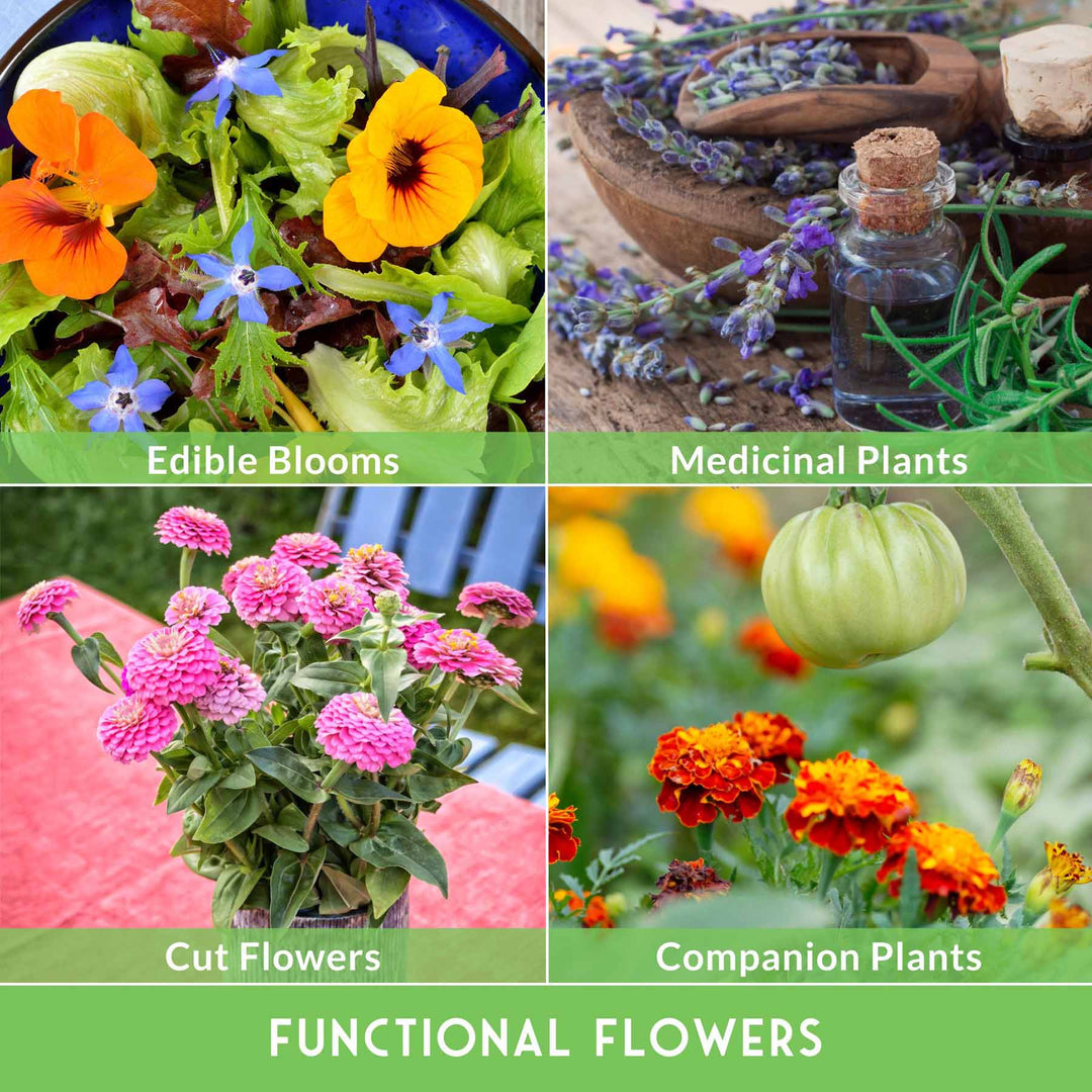 Functional Flower Garden Kit - 36 Seeds for Beauty, Bees &amp; Wellness