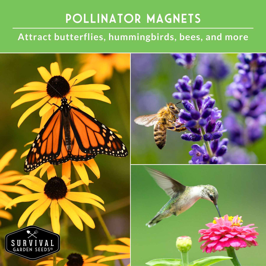 Functional Flower Garden Kit - 36 Seeds for Beauty, Bees &amp; Wellness