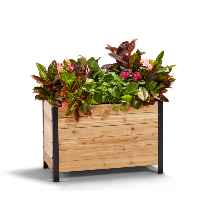 18" x 36" Planter Box - 24" TALL / Select Grade