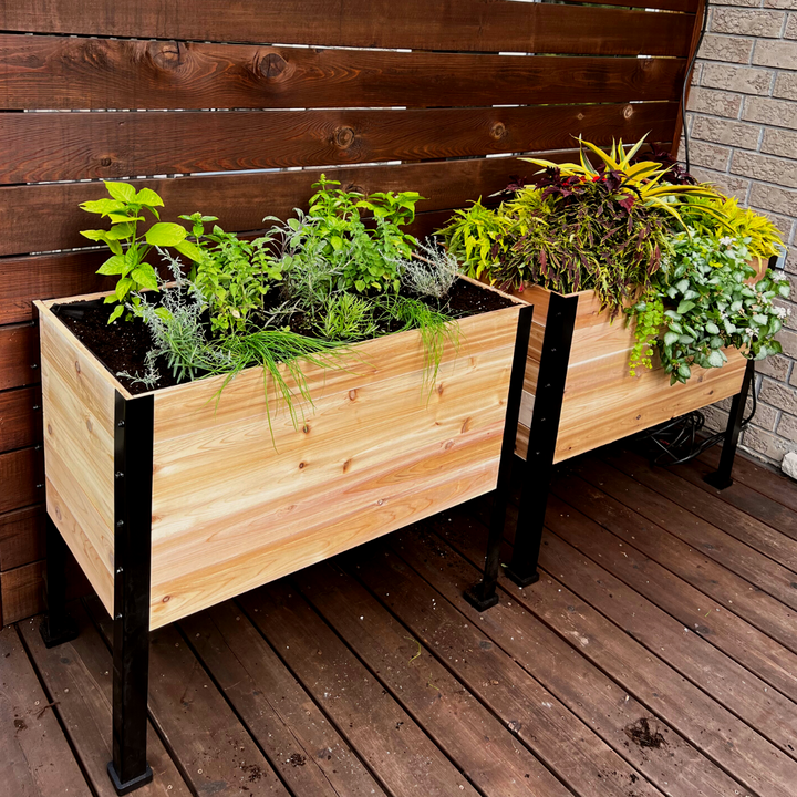 18″ x 36″ Deep Root Raised Garden Bed - 30″ TALL / Select Grade