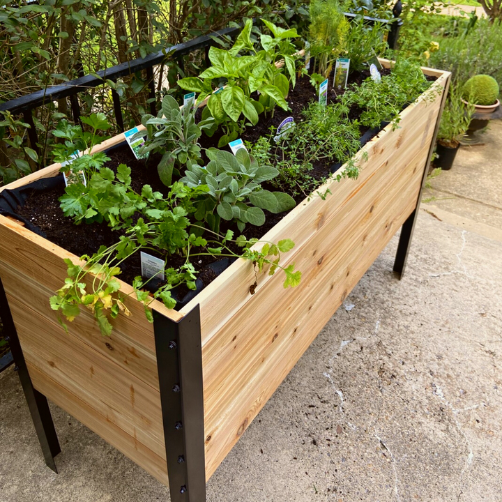18″ x 48″ Deep Root Raised Garden Bed - 30″ TALL - Select Grade
