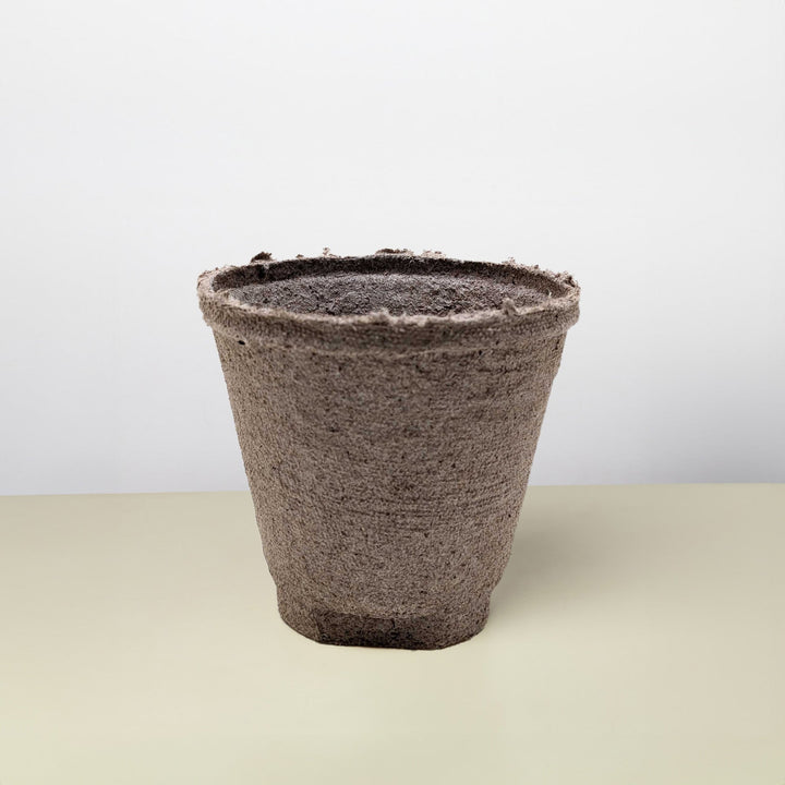 Cow Pot