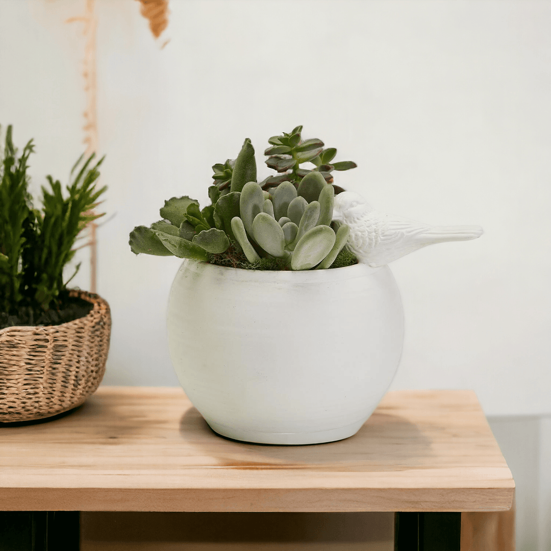 Sitting Pretty Vase