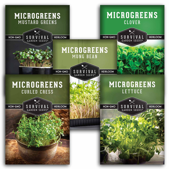 Microgreens Seeds Variety Pack – 5 Heirloom Non-GMO Microgreen Seed Packs for Indoor Growing &amp; Sprouting