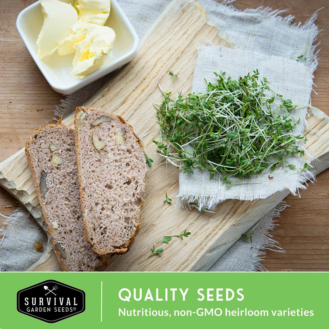 Microgreens Seeds Variety Pack – 5 Heirloom Non-GMO Microgreen Seed Packs for Indoor Growing &amp; Sprouting