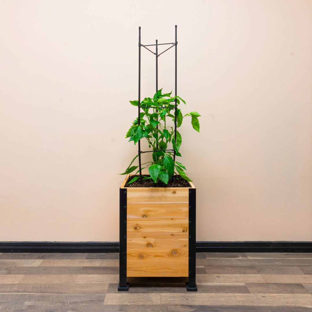 Vegetable Cage