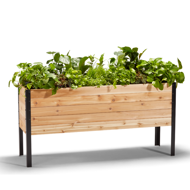 18″ x 60″ Deep Root Raised Garden Bed - 30″ TALL / Select Grade
