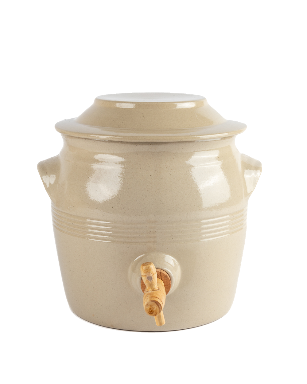 Vintage Vinegar Berry Jar