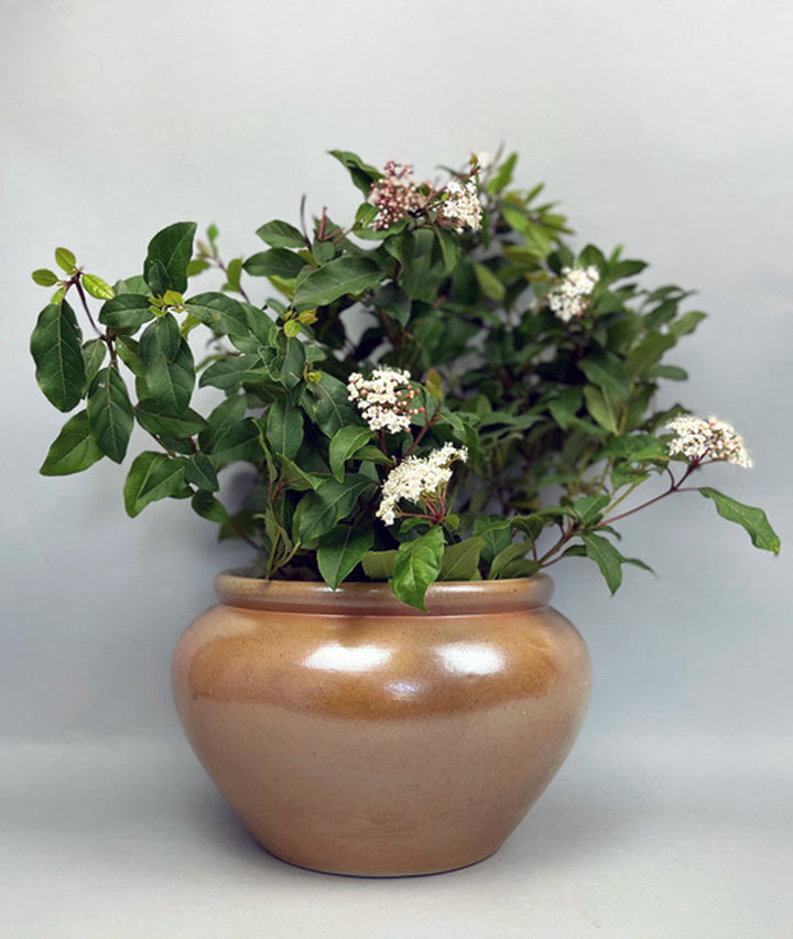Vintage Bonny sur Loire Low Pot 