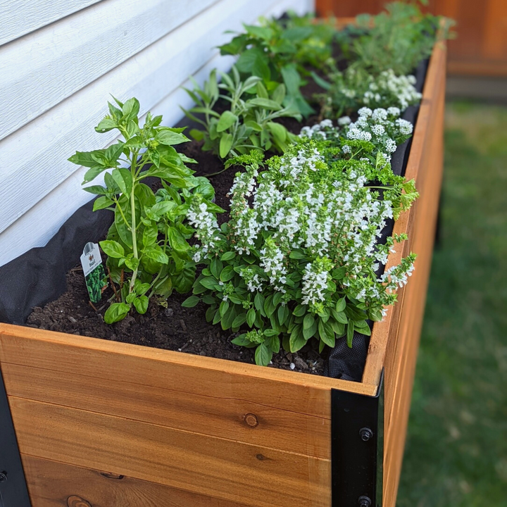 18" x 72" Planter Box - 24" TALL / Select Grade