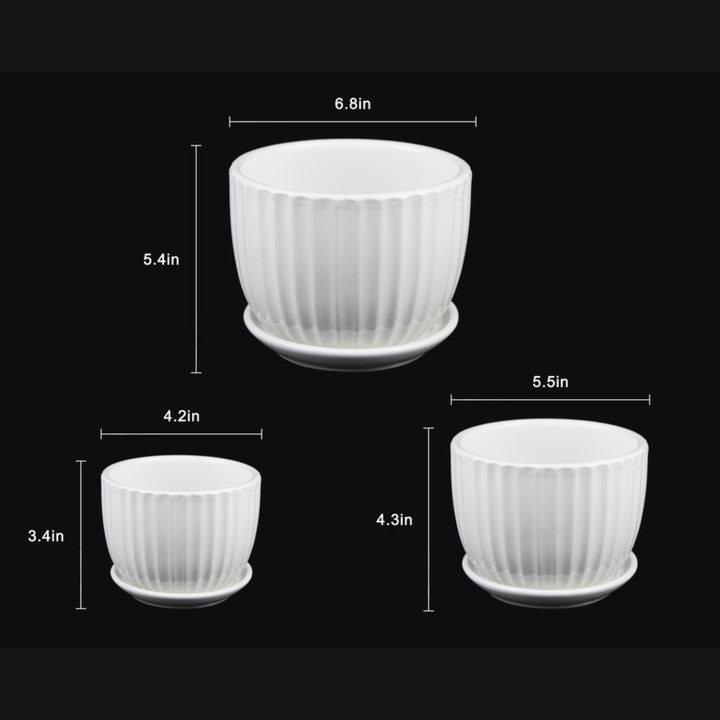 3-Piece White Ceramic Planter Pot Set with Vertical Fluted Design &amp; Matching Saucers