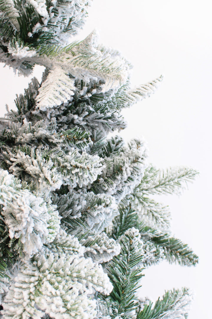 Snow Flocked Alpine Fir Christmas Tree