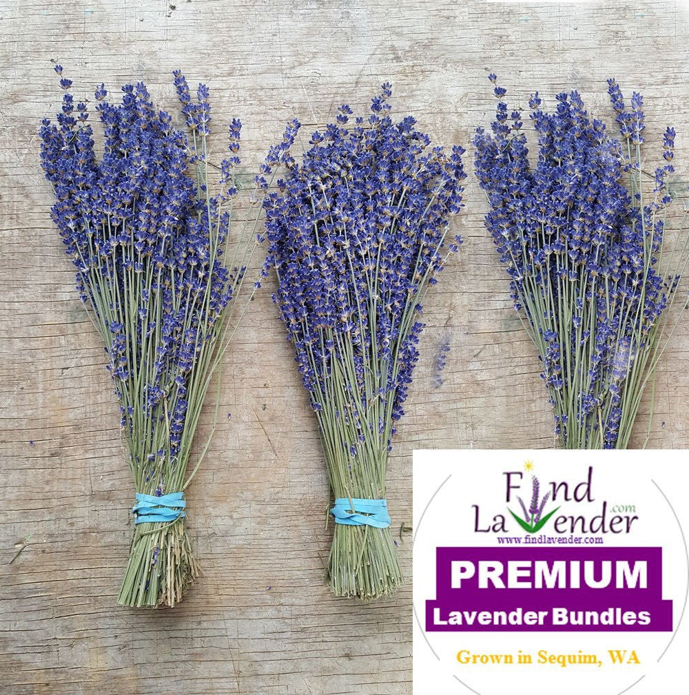 Fresh Culinary Lavender Bundles 14-18 inch Food Grade Dried Herb