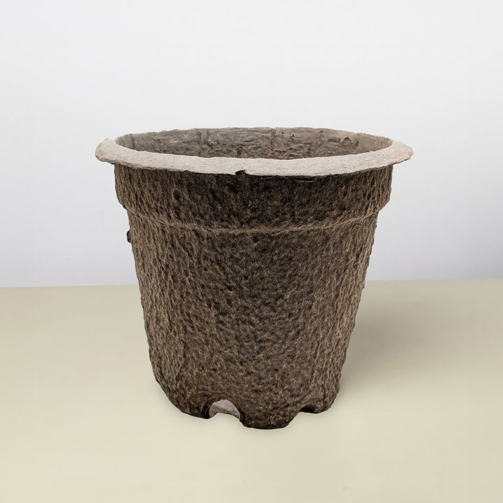 Cow Pot