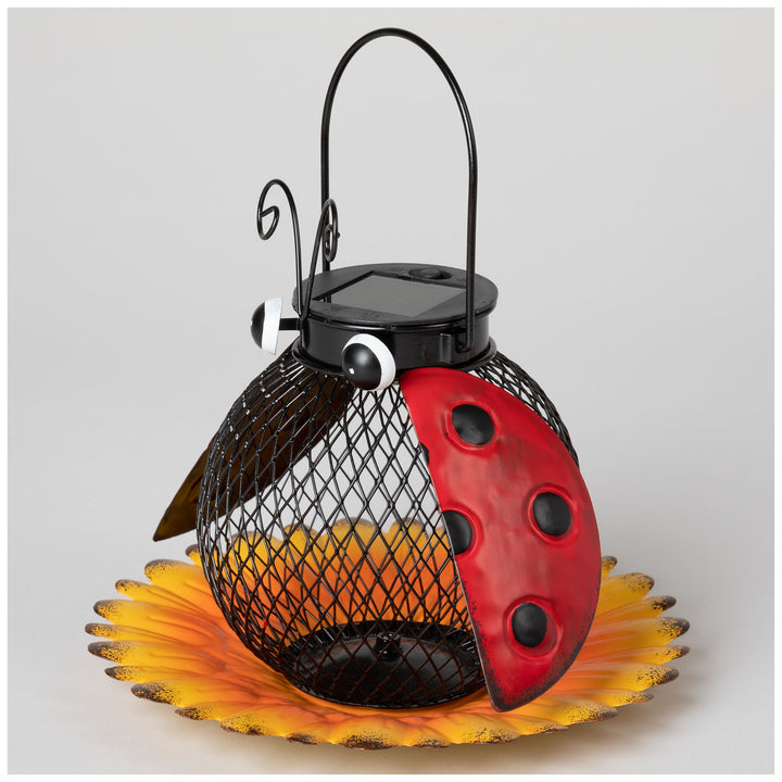 Cute As A Bug &amp; Flower Hanging Bird Feeder