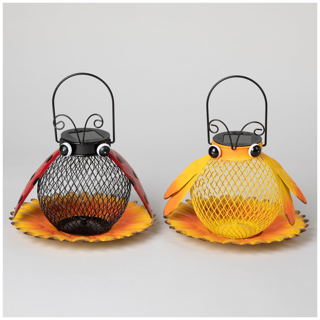 Cute As A Bug &amp; Flower Hanging Bird Feeder