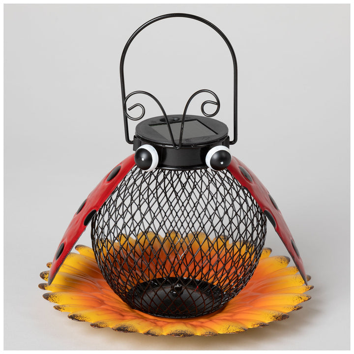 Cute As A Bug &amp; Flower Hanging Bird Feeder