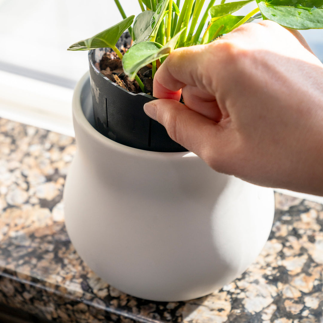 Ceramic Plant Pot with Rubber Liner - Alabaster White