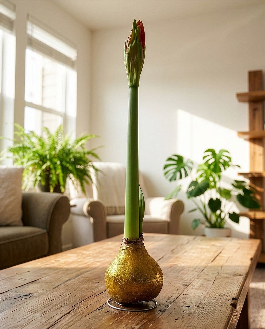Gold Glitter Waxed Amaryllis with White Flower