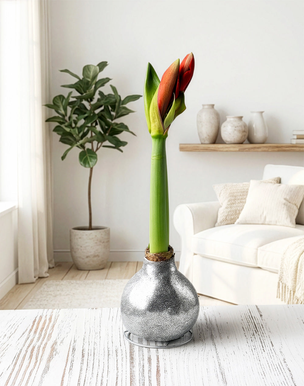Silver Glitter Waxed Amaryllis with Pink Flower