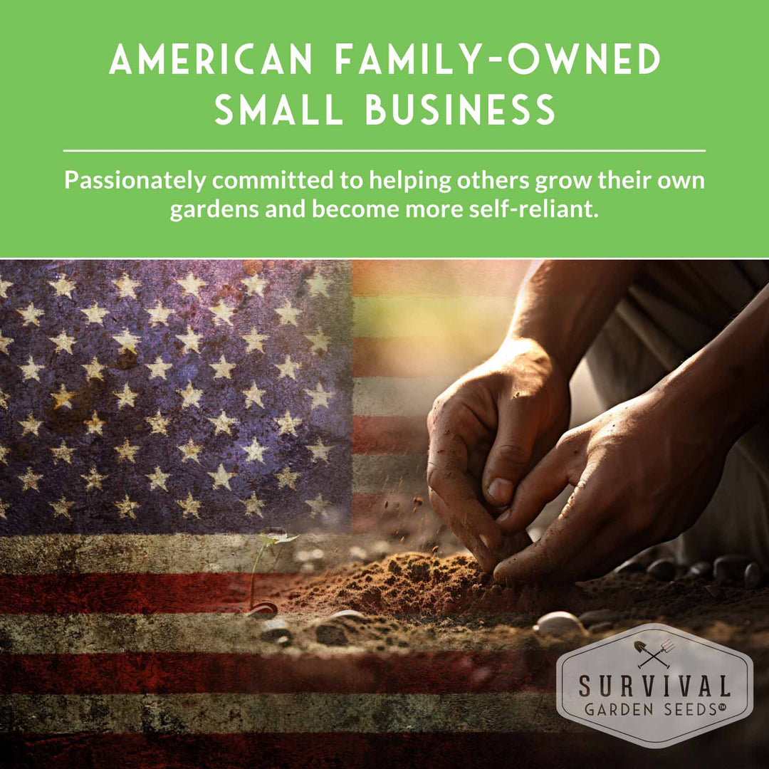 Homestead Garden Collection – 50 Essential Seeds for Self-Reliant Living