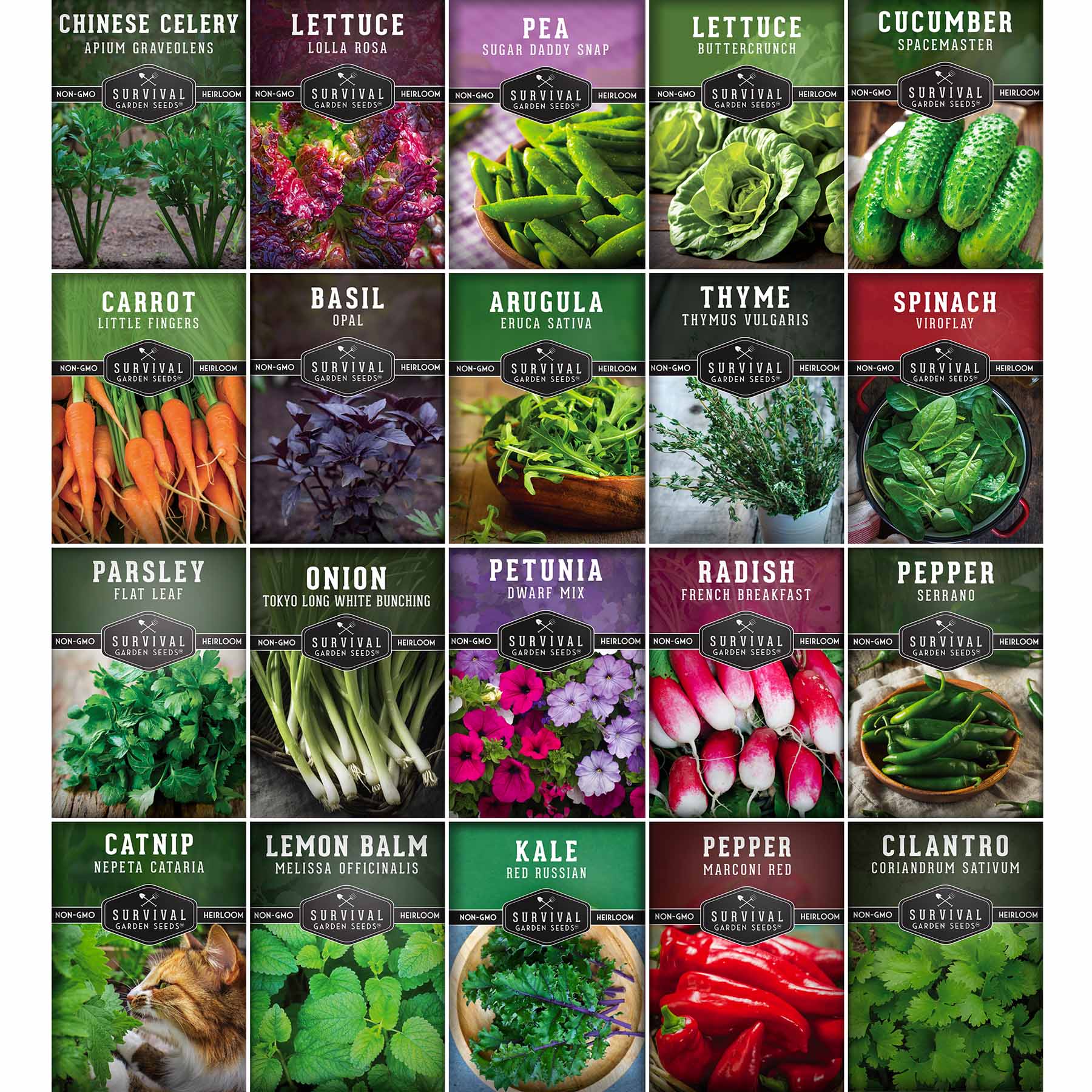 20 Variety Apartment Kit Seed Vault – Non-GMO Heirloom Seeds for Hydroponic & Indoor Small-Space Gardening