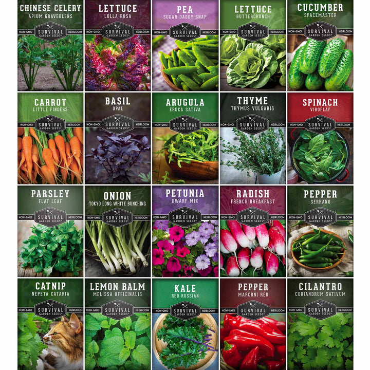 20 Variety Apartment Kit Seed Vault – Non-GMO Heirloom Seeds for Hydroponic &amp; Indoor Small-Space Gardening
