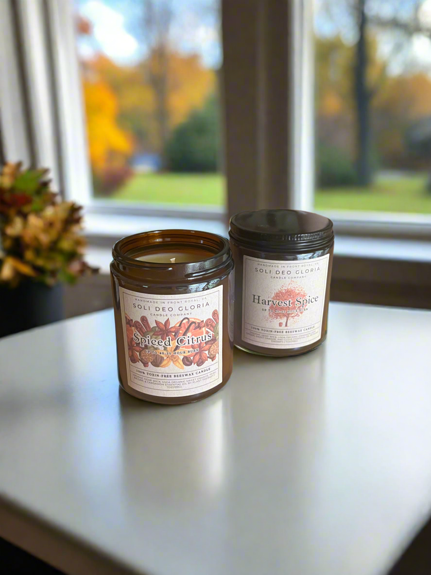 Fall Bundle | 4 Pack | Pumpkin, Spice, Citrus, Warm