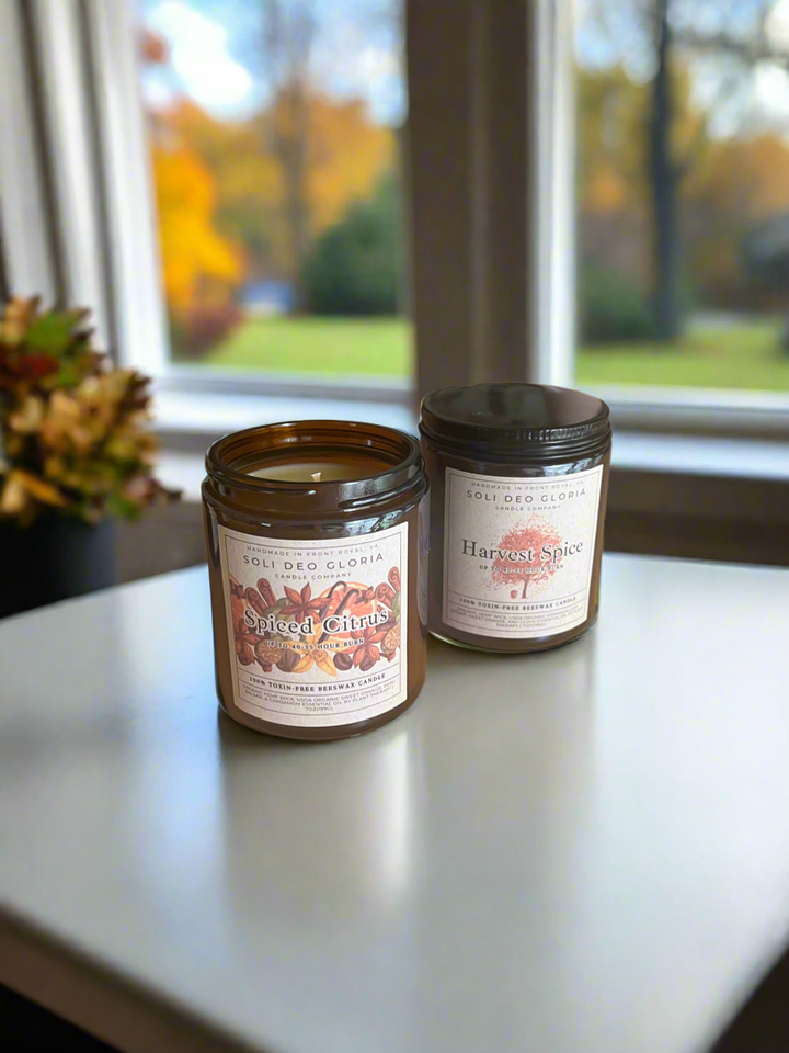 Fall Bundle | 4 Pack | Pumpkin, Spice, Citrus, Warm