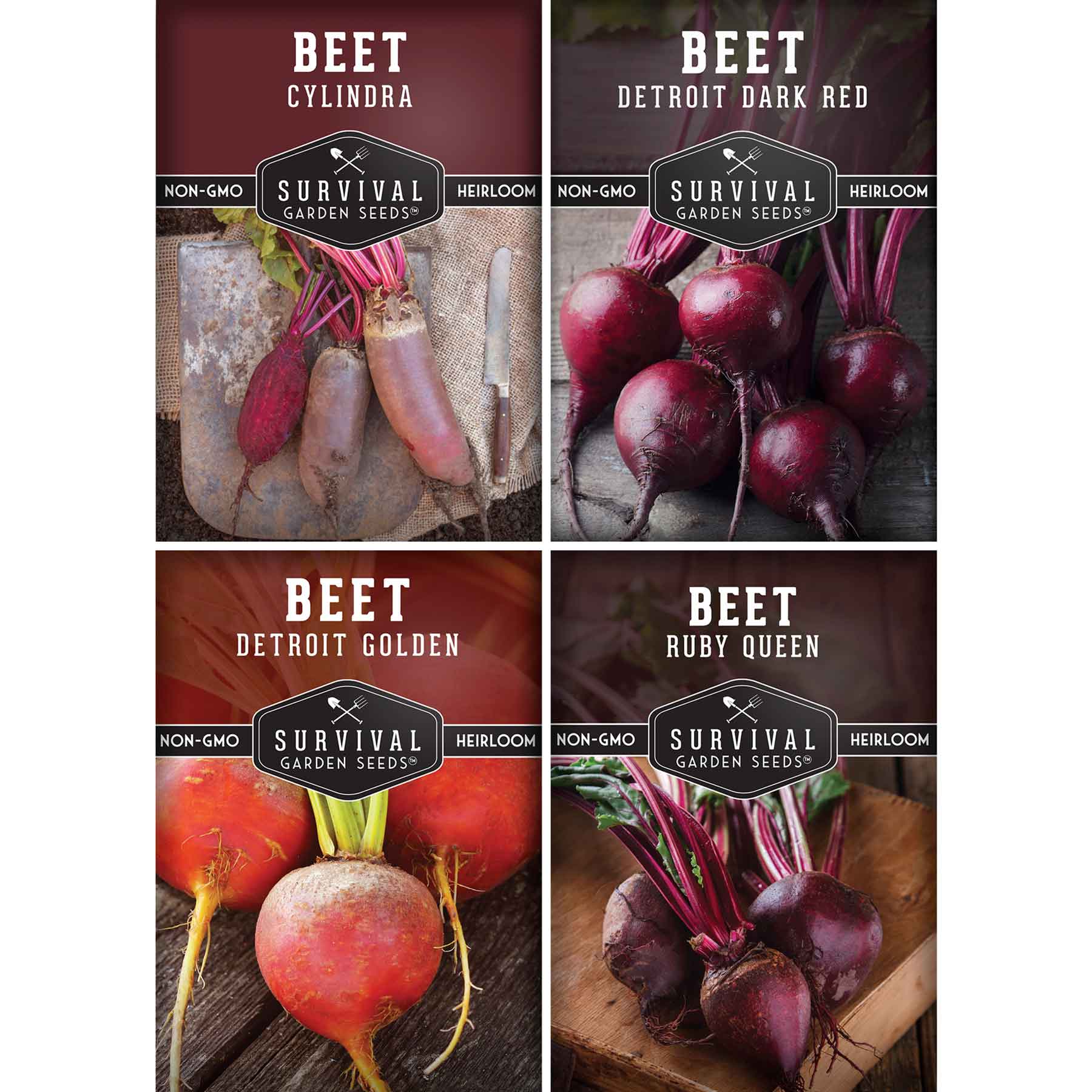 Beet Seed Collection – Cylindra, Ruby Queen, Detroit Dark Red & Golden Beets
