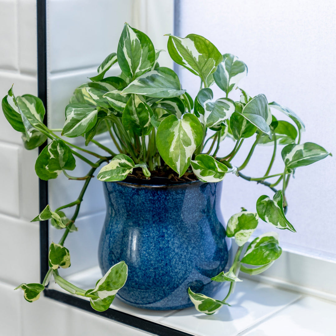 Ceramic Plant Pot with Rubber Liner - River Blue