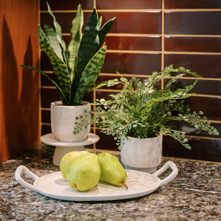 16" Faux Snake Plant &amp; Fern Set