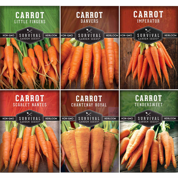 Carrot Seed Collection – Six Heirloom Garden Carrot Varieties for Fresh Eating, Juicing, Storage &amp; Preserving