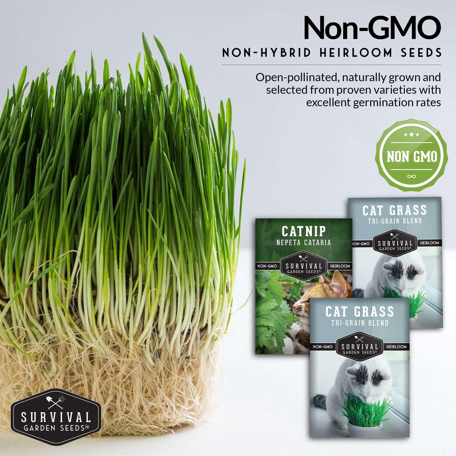 Cat Grass & Catnip Seed Collection – Fun, Healthy Greens & Enrichment Herbs for Indoor Cats