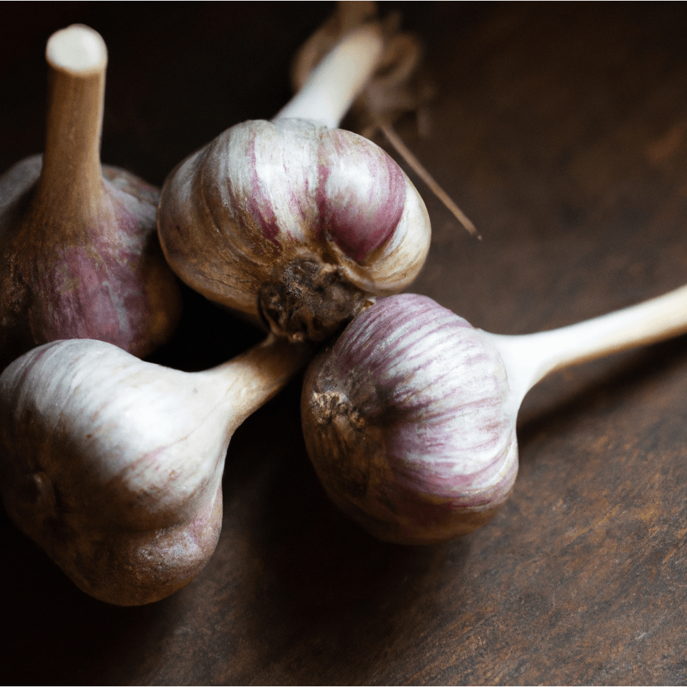 Organic Red Chesnok Garlic (lb)