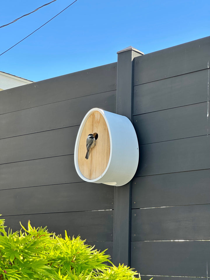 The Peep Show® Video Birdhouse