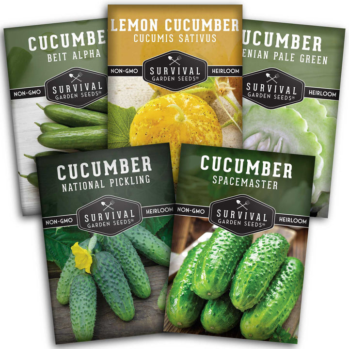 Cucumber Seed Collection – Armenian, Beit Alpha, Lemon, National Pickling &amp; Spacemaster Varieties