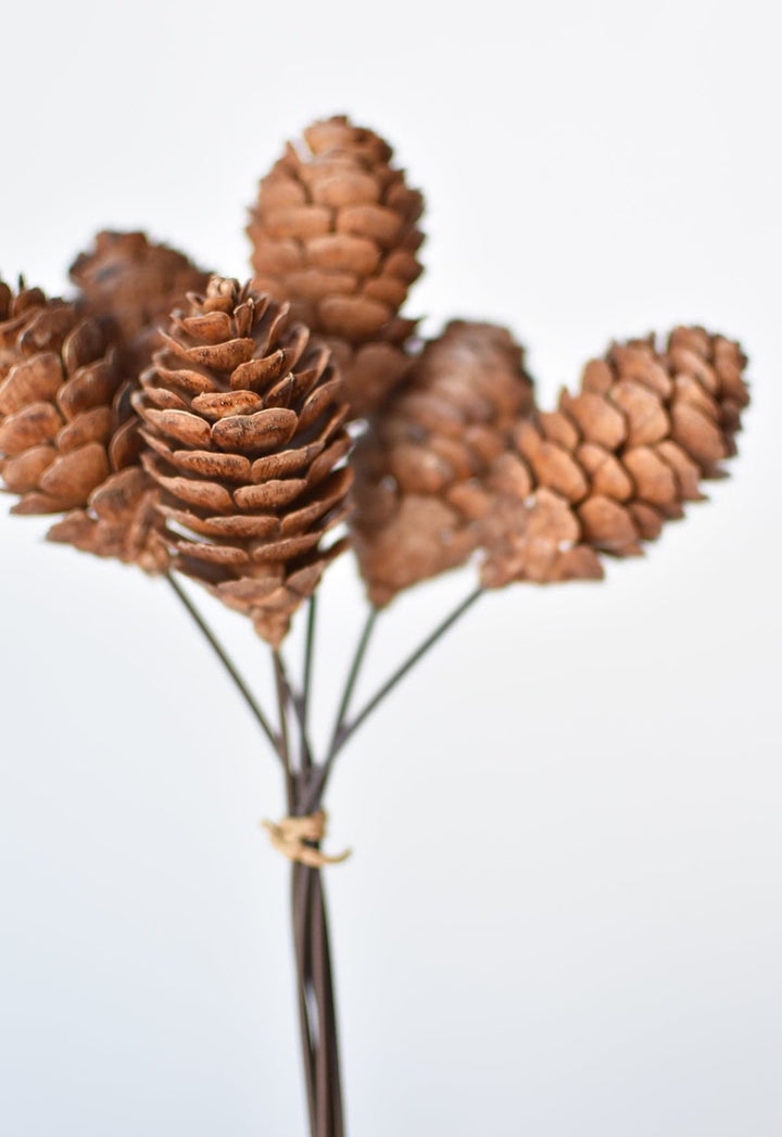 10" Faux Pine Cone Stem Bundle
