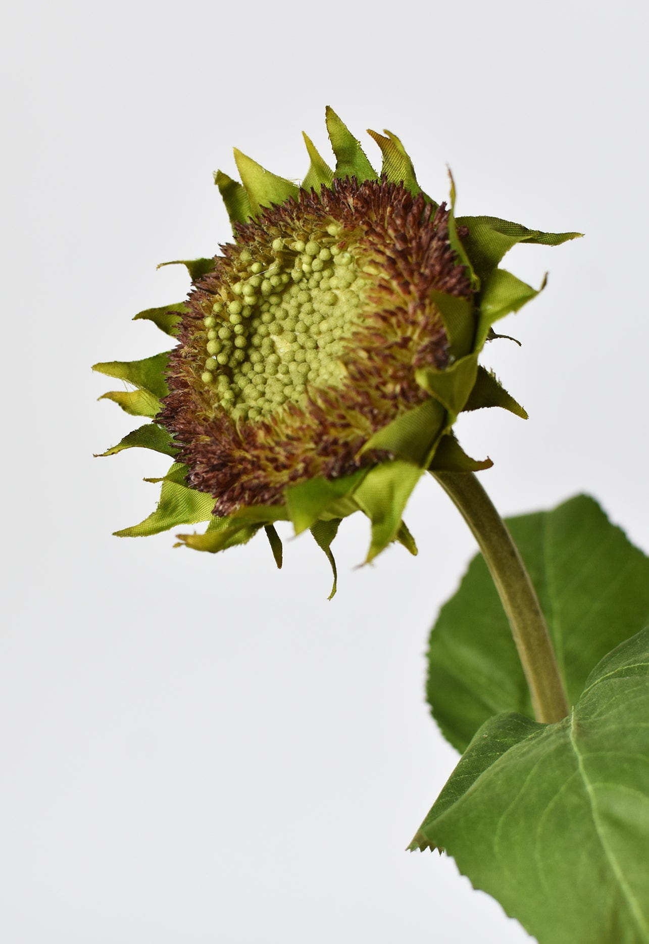 28" Faux Aged Brown Sunflower Stem