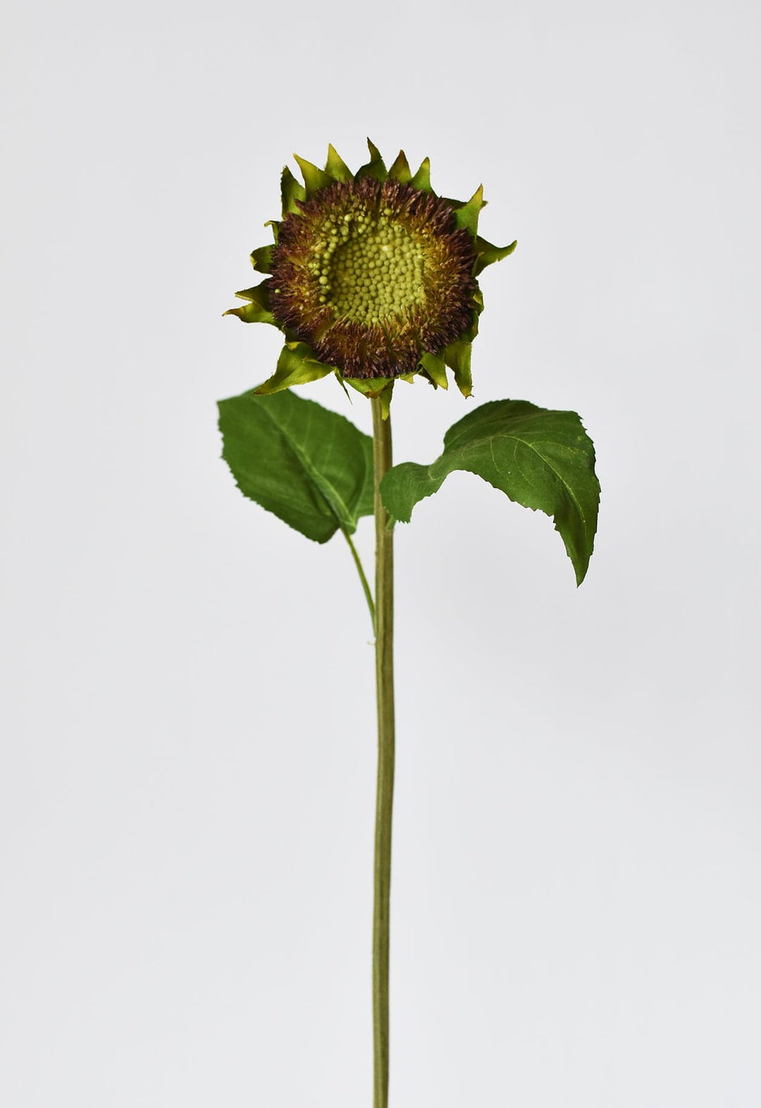 28" Faux Aged Brown Sunflower Stem