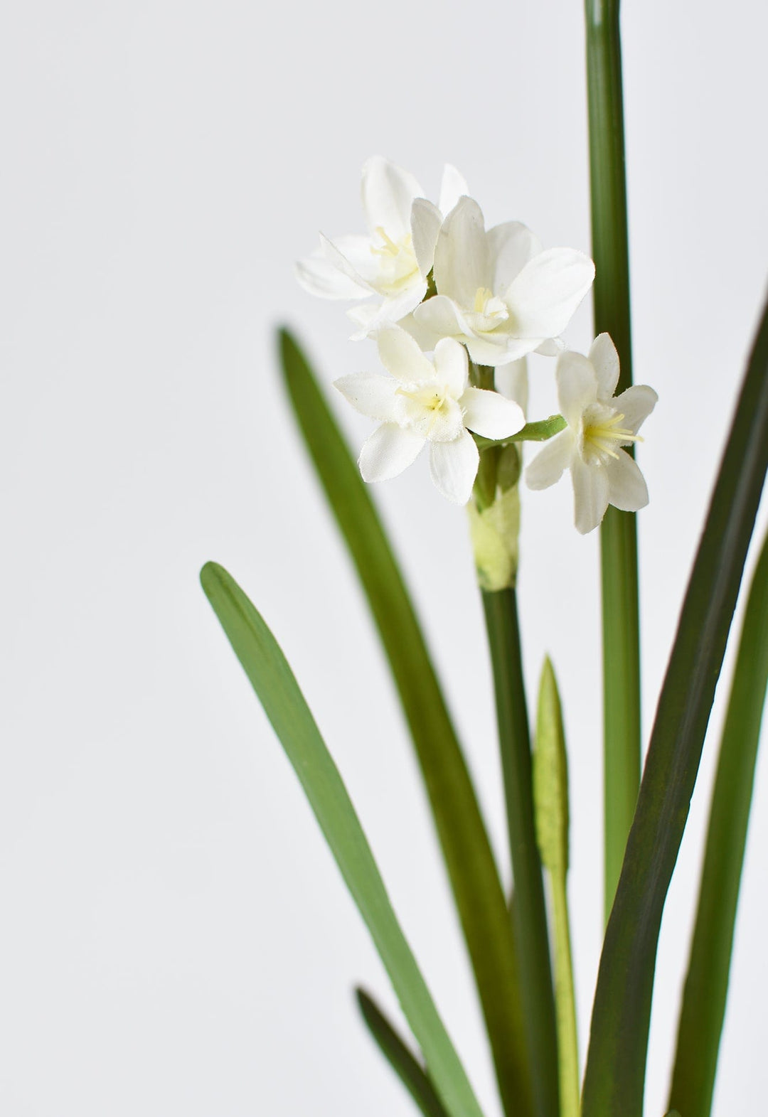 17.5" Faux Paperwhites w/ Bulb