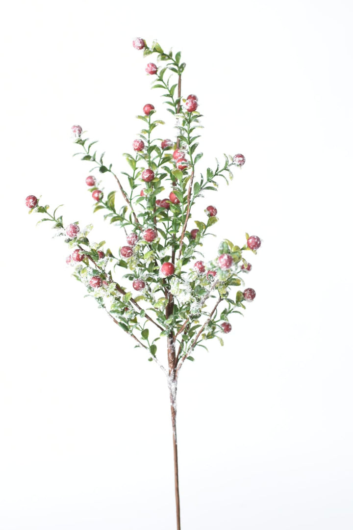 21" Faux Frosted Greenery with Red Berry Stem