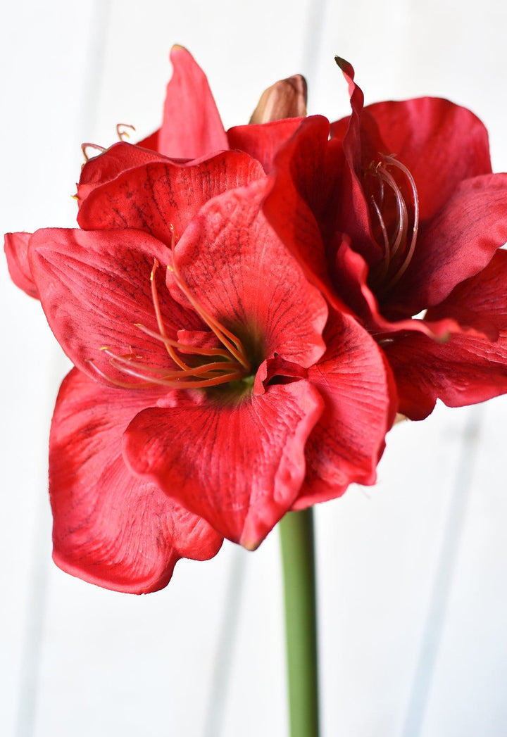 29" Faux Red Amaryllis Stem