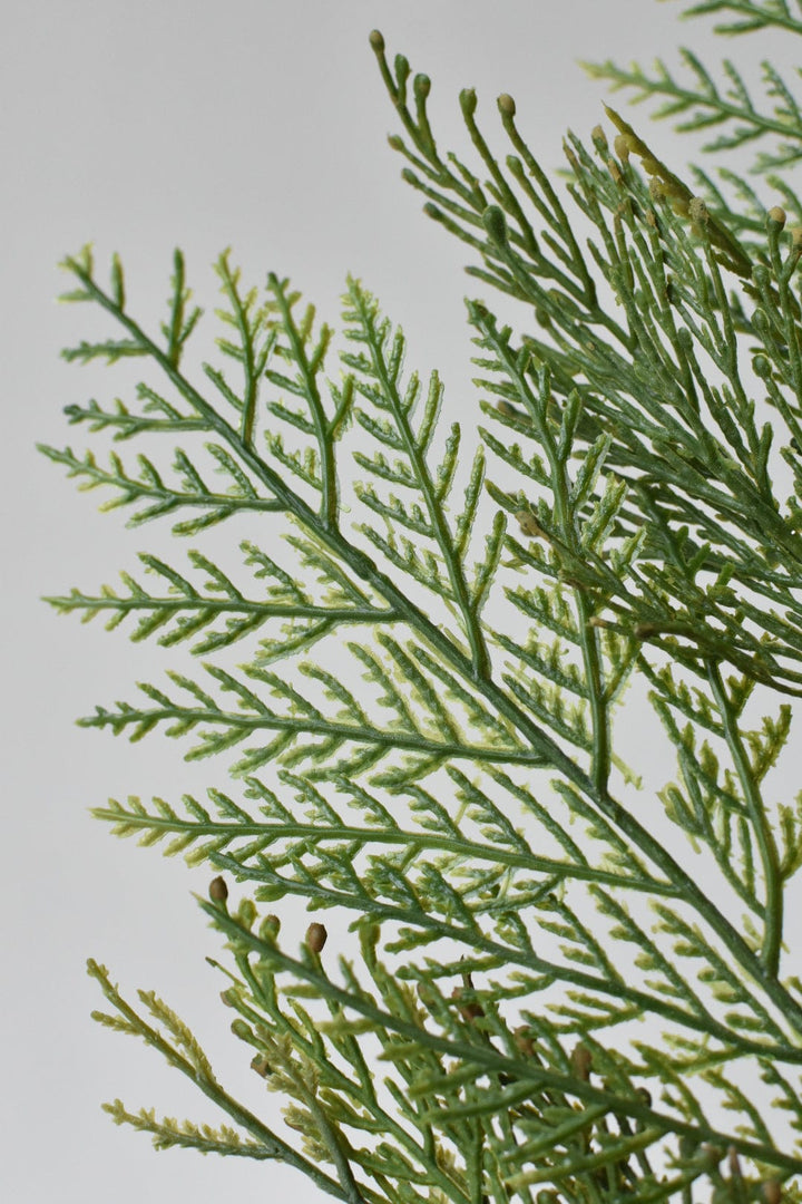 22" Incense Cedar with Pine Cones