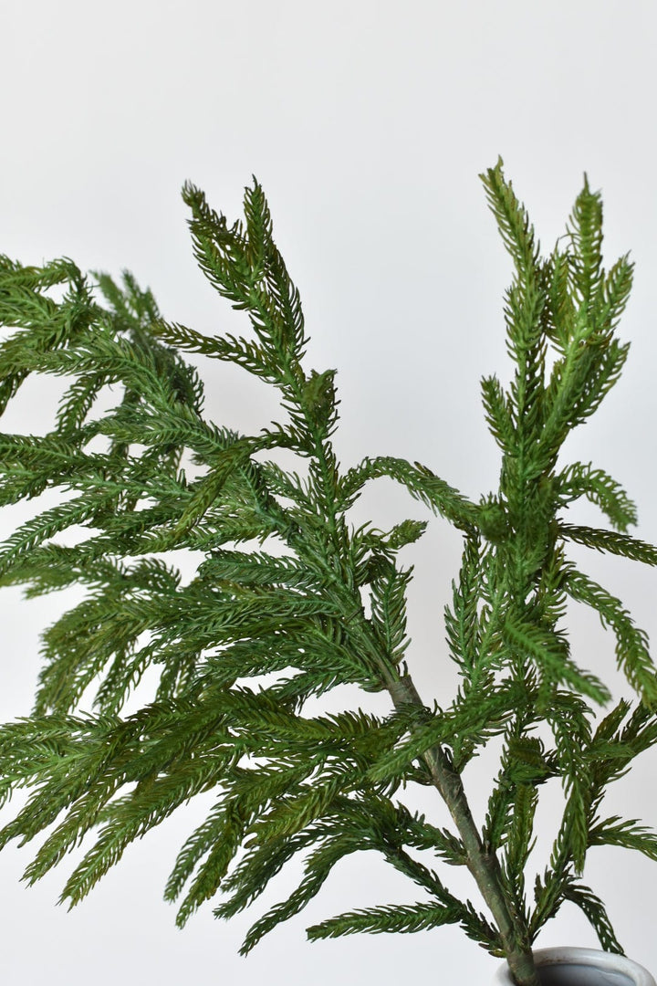 36" RealTouch Norfolk Pine Spray Stem