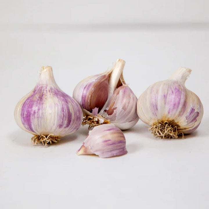 Music Garlic (lb)