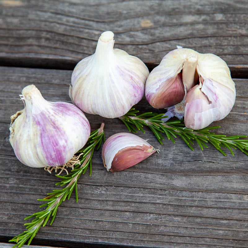 Music Garlic (lb)