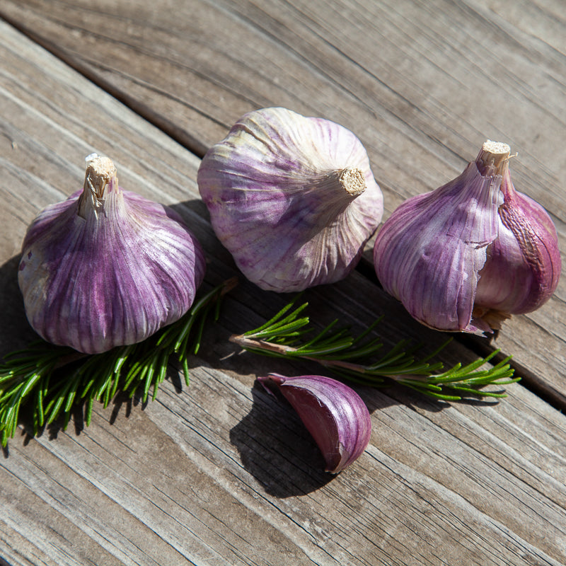 Organic Red Chesnok Garlic (lb)