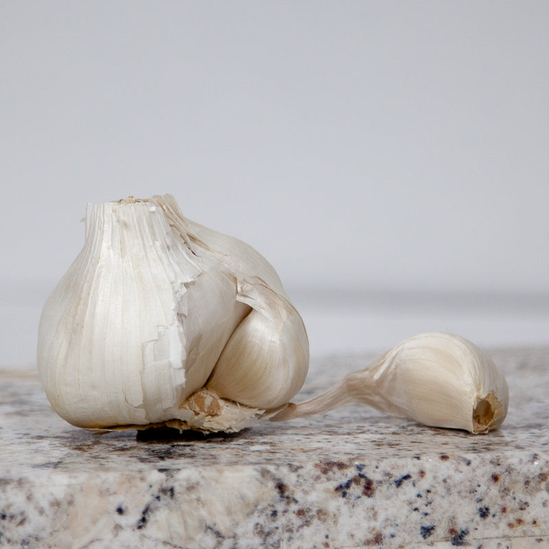 Organic Early Purple Italian Garlic (lb)